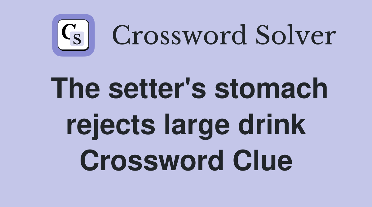 The setter's stomach rejects large drink Crossword Clue