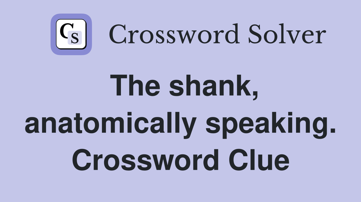 The shank, anatomically speaking. Crossword Clue