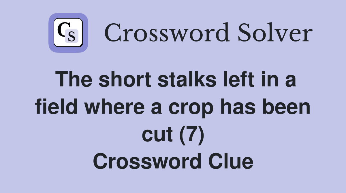 The short stalks left in a field where a crop has been cut (7) Crossword Clue