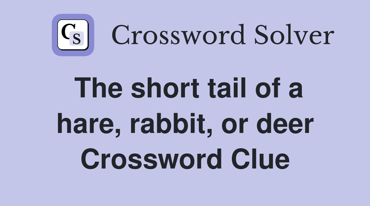 The short tail of a hare, rabbit, or deer Crossword Clue