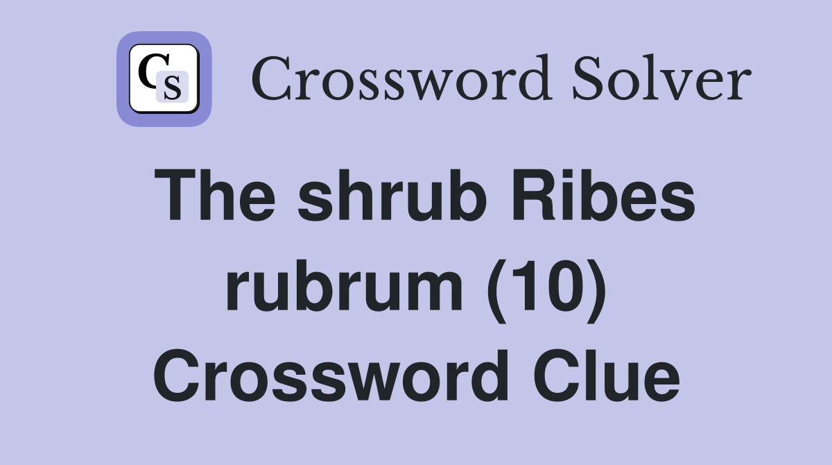 The shrub Ribes rubrum (10) Crossword Clue