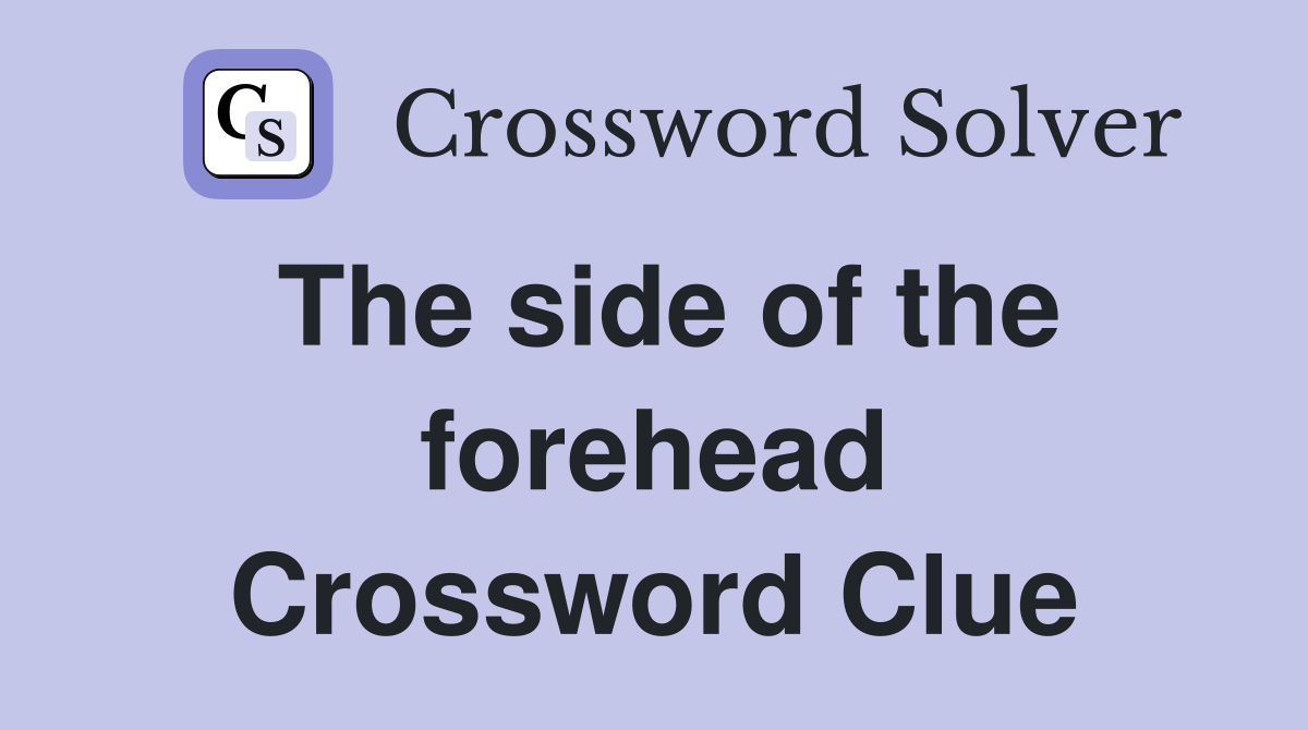 The side of the forehead Crossword Clue