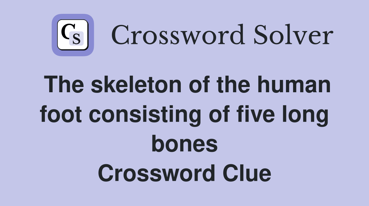 The skeleton of the human foot consisting of five long bones Crossword Clue