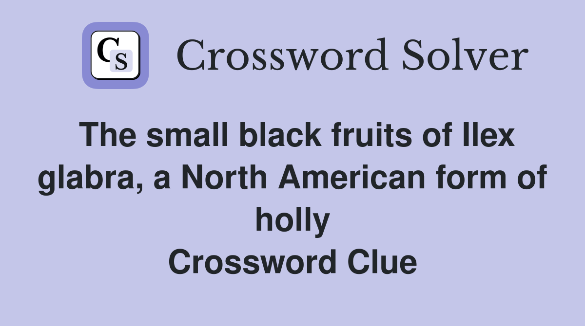The small black fruits of Ilex glabra, a North American form of holly Crossword Clue