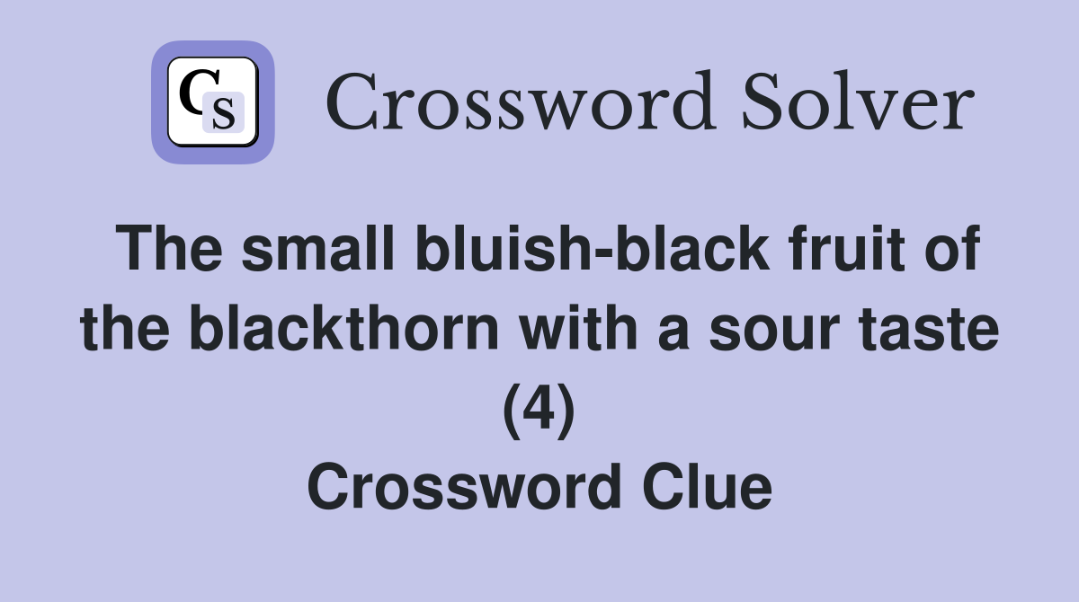 The small bluish-black fruit of the blackthorn with a sour taste (4) Crossword Clue