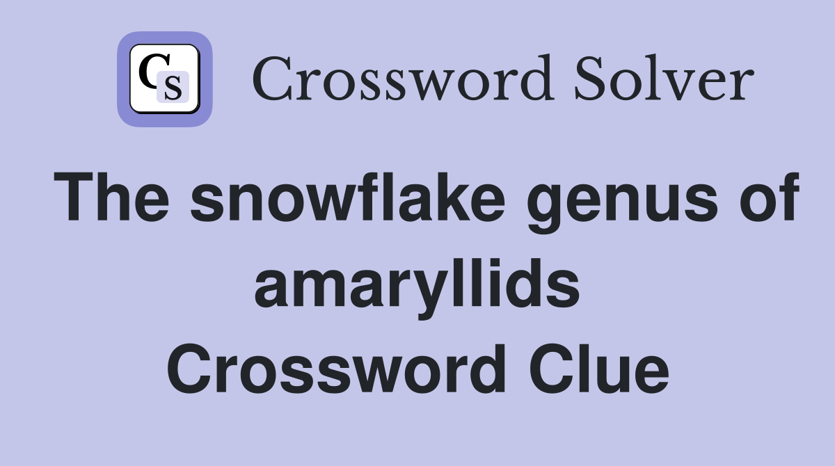 The snowflake genus of amaryllids Crossword Clue
