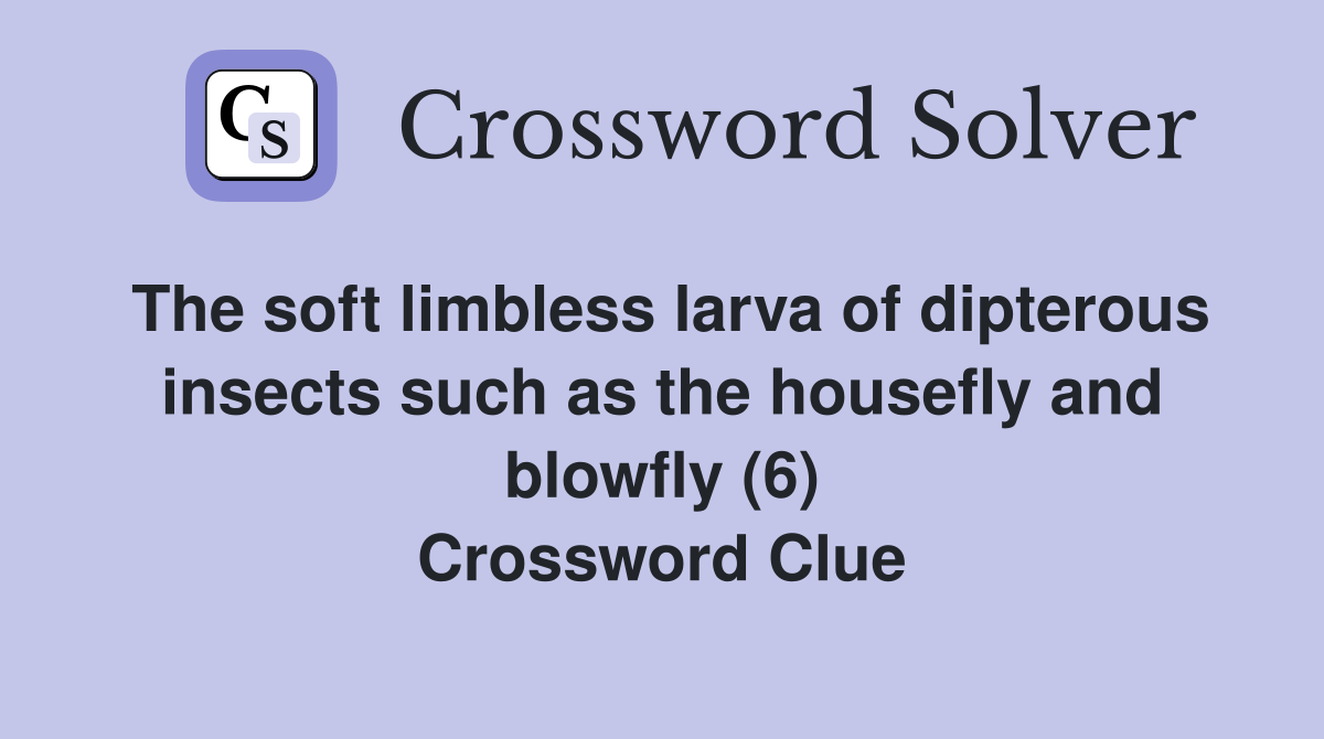 The soft limbless larva of dipterous insects such as the housefly and blowfly (6) Crossword Clue