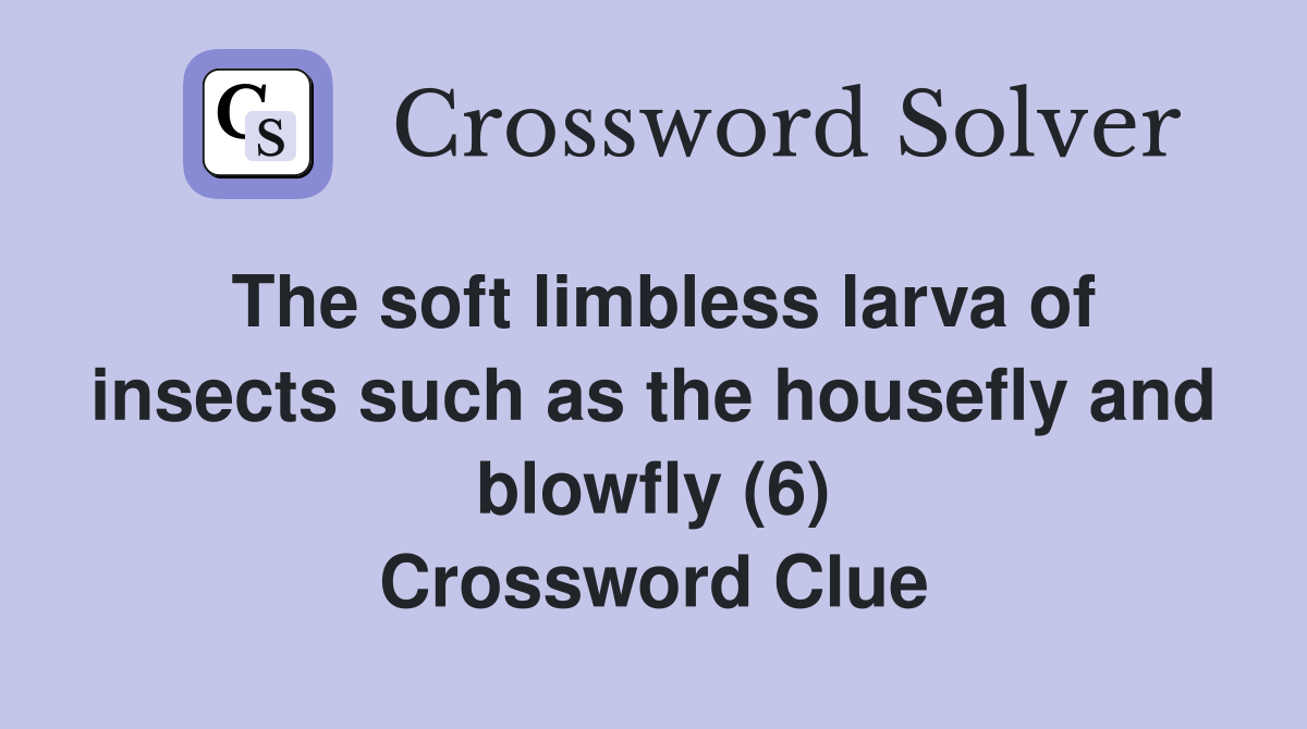 The soft limbless larva of insects such as the housefly and blowfly (6) Crossword Clue