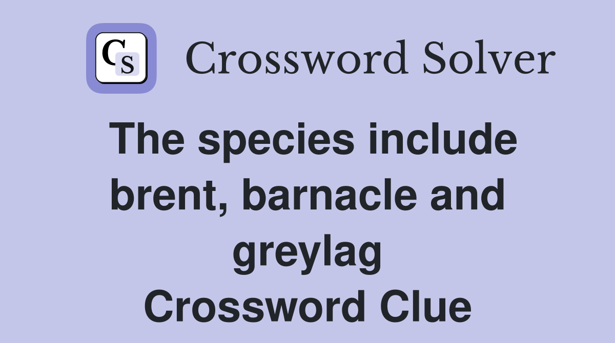 The species include brent, barnacle and greylag Crossword Clue