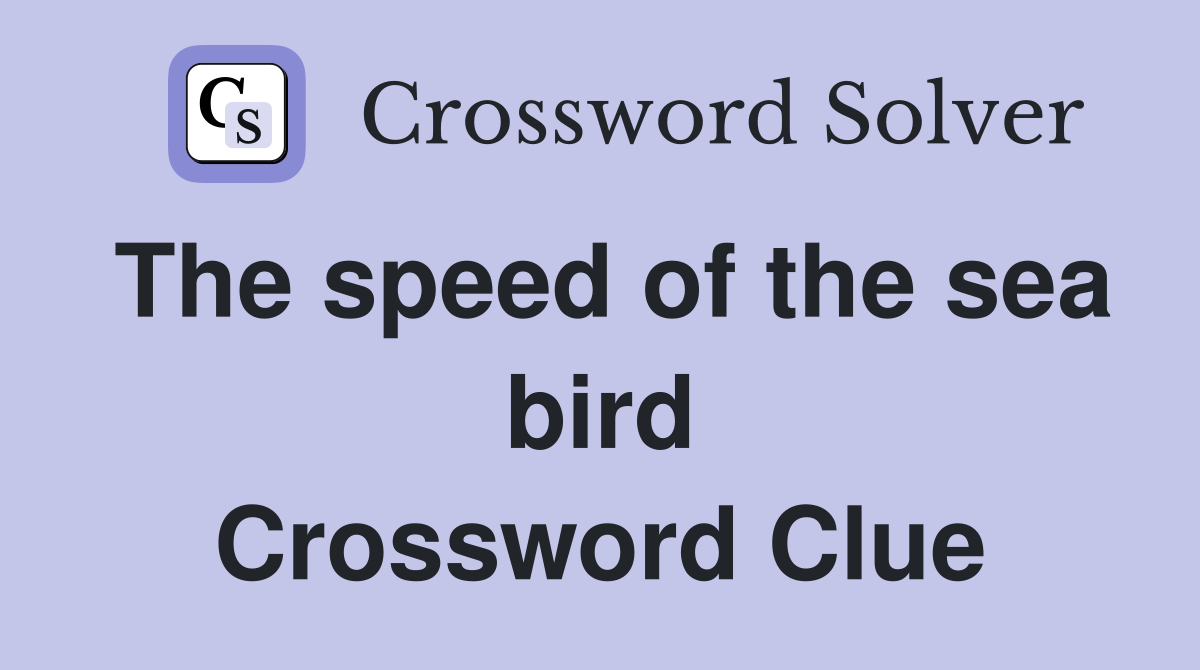 The speed of the sea bird Crossword Clue