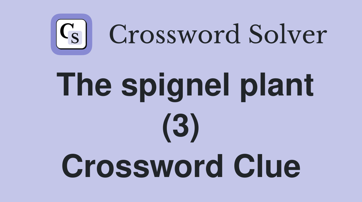 The spignel plant (3) Crossword Clue