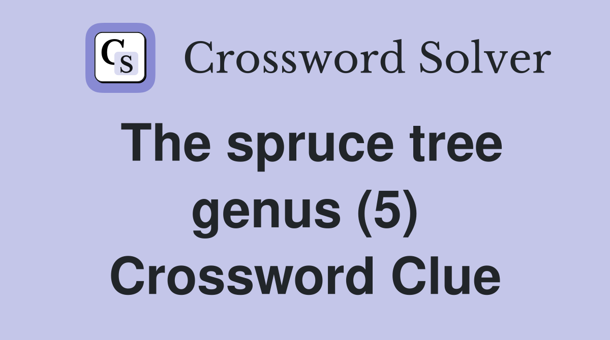 The spruce tree genus (5) Crossword Clue