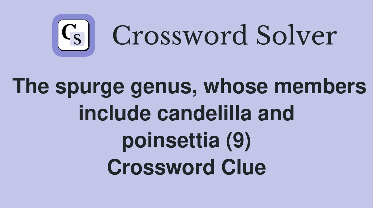 The spurge genus, whose members include candelilla and poinsettia (9) Crossword Clue