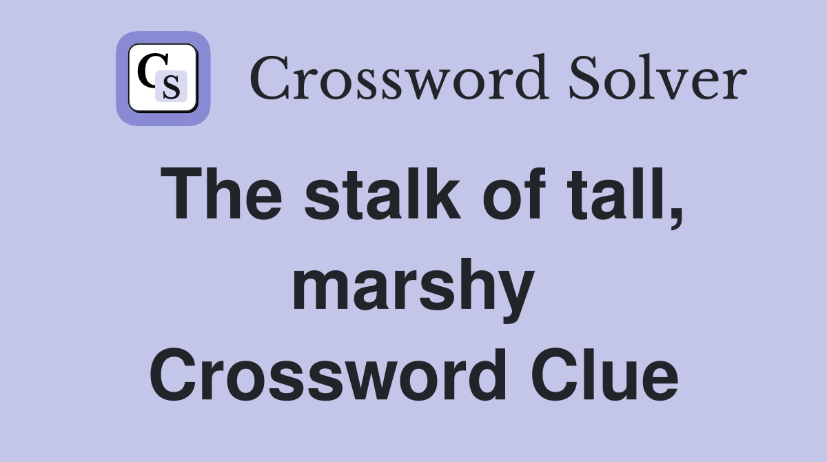 The stalk of tall, marshy Crossword Clue