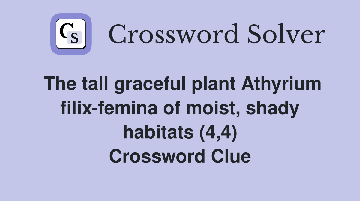 The tall graceful plant Athyrium filix-femina of moist, shady habitats (4,4) Crossword Clue