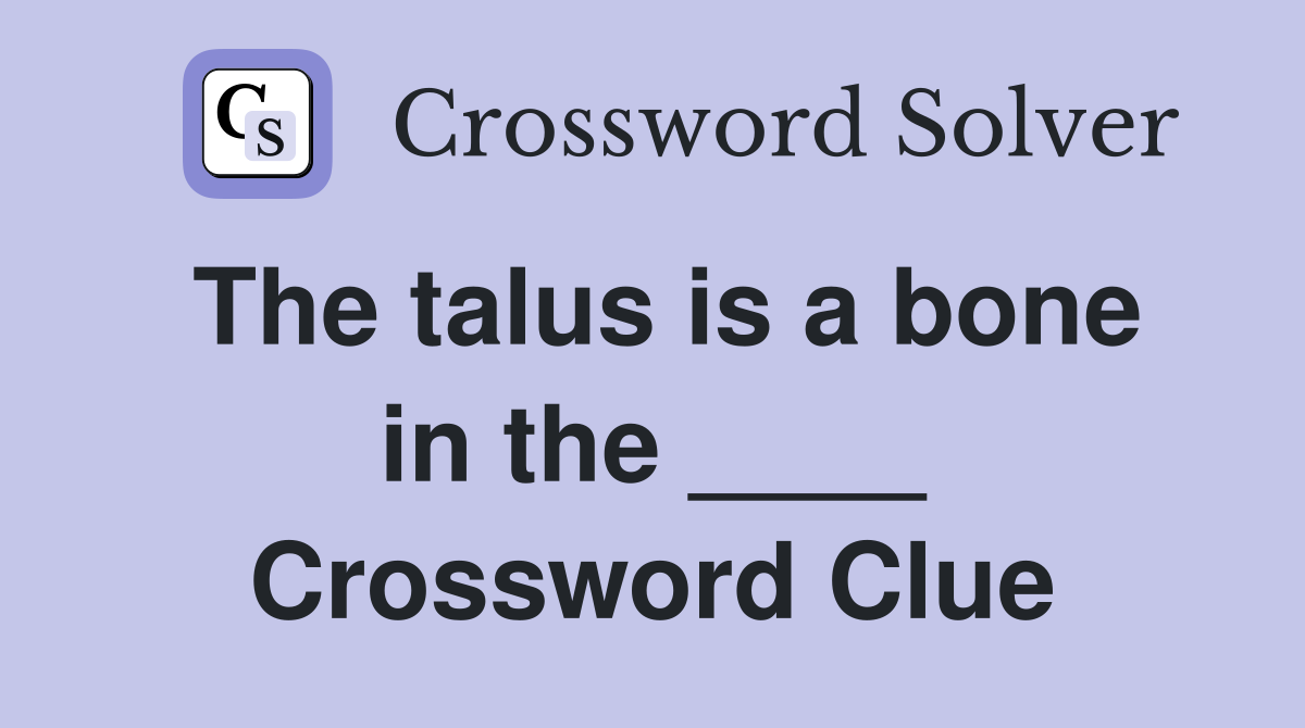 The talus is a bone in the ____ Crossword Clue