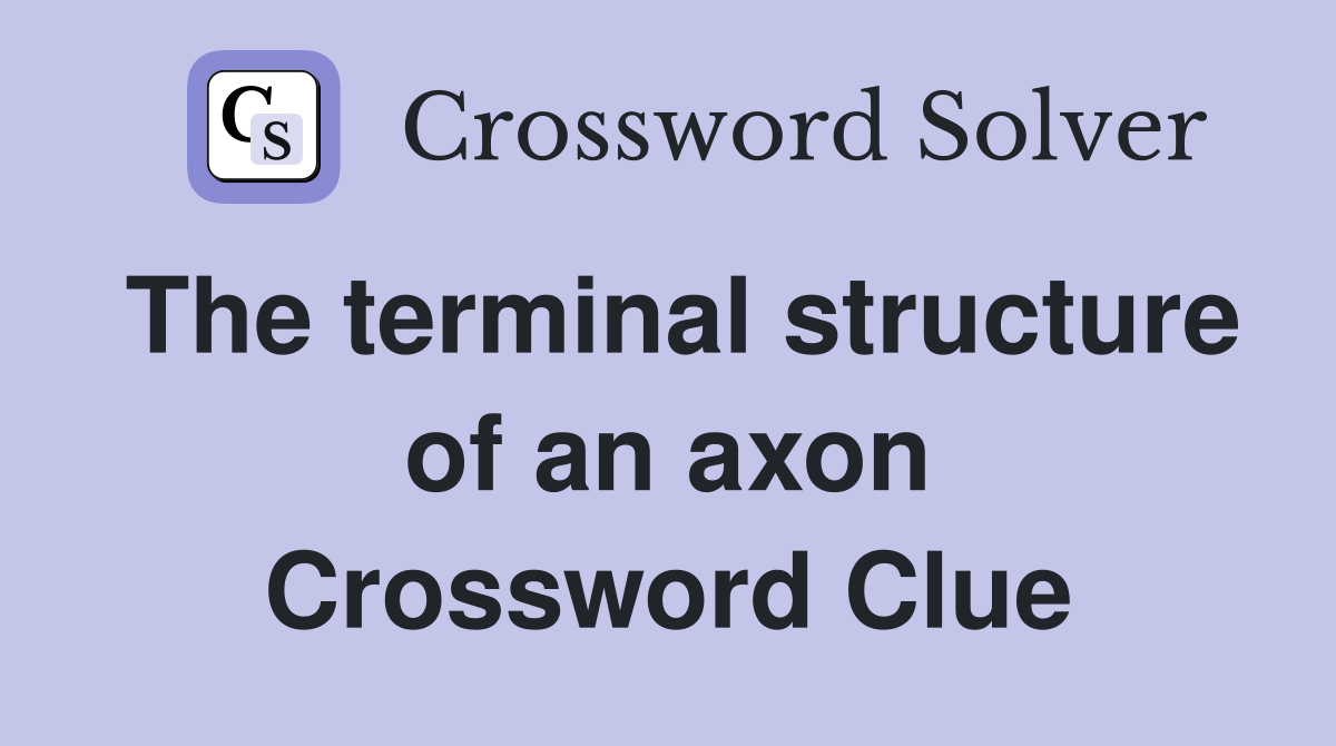 The terminal structure of an axon Crossword Clue