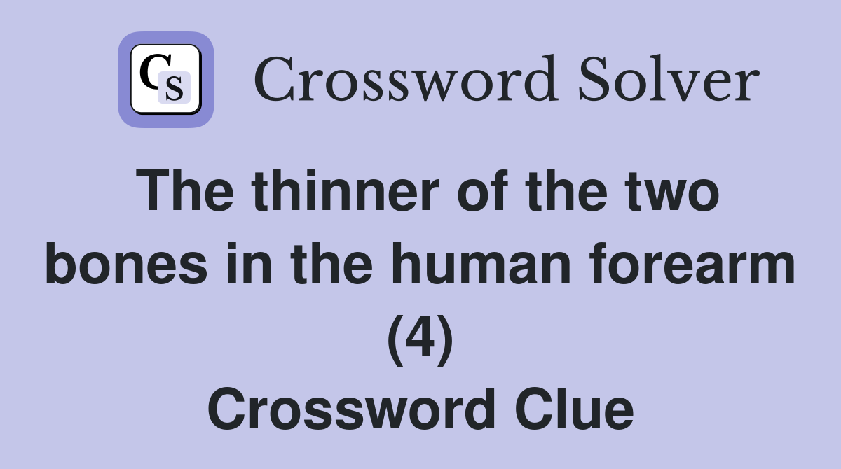 The thinner of the two bones in the human forearm (4) Crossword Clue