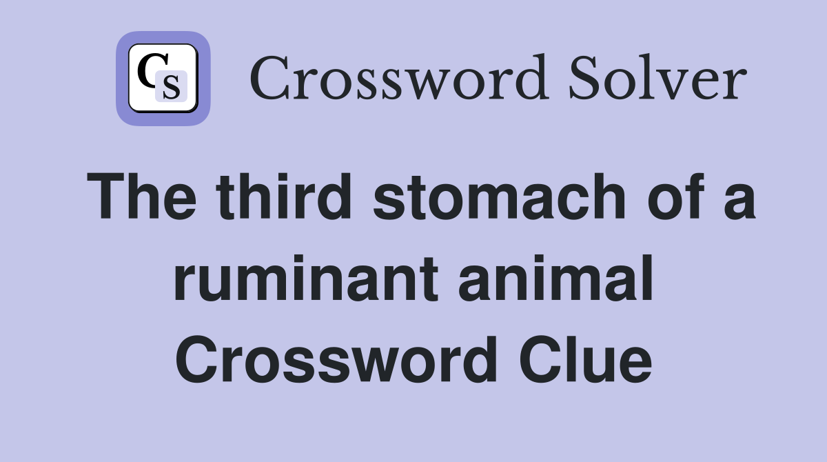 The third stomach of a ruminant animal Crossword Clue