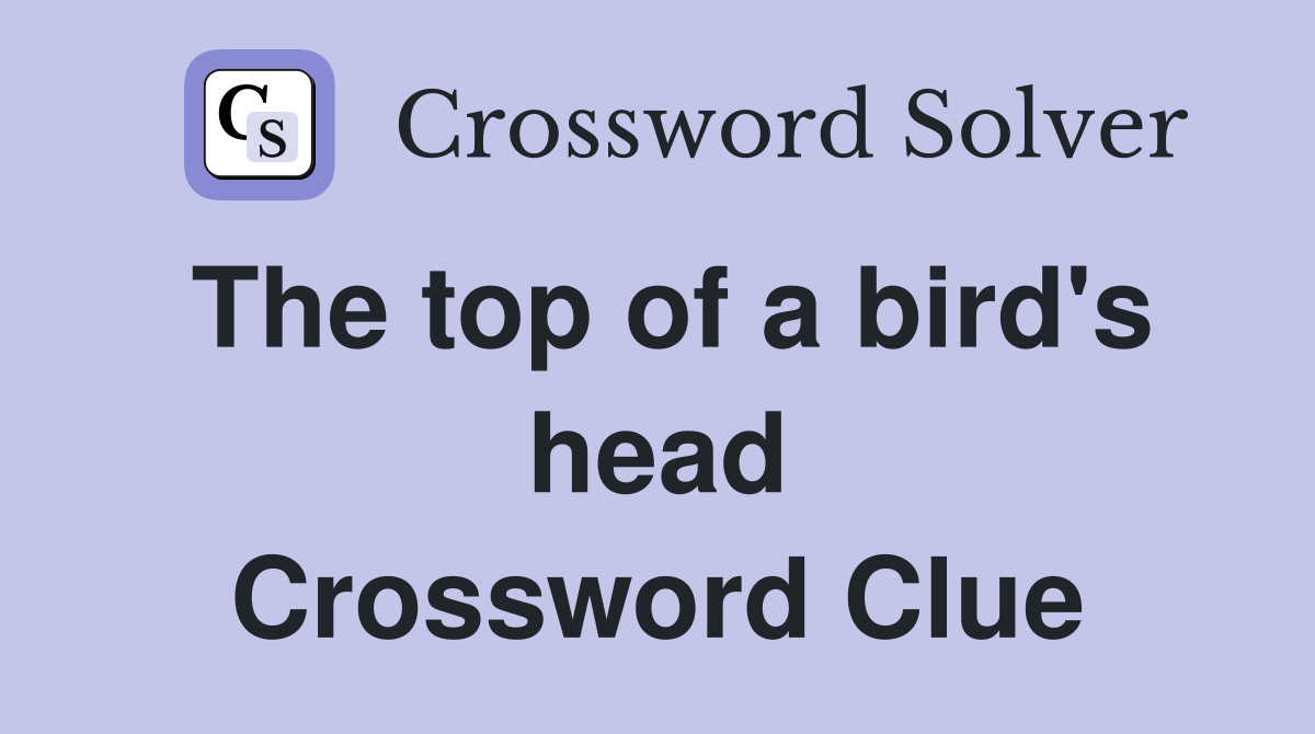 The top of a bird's head Crossword Clue