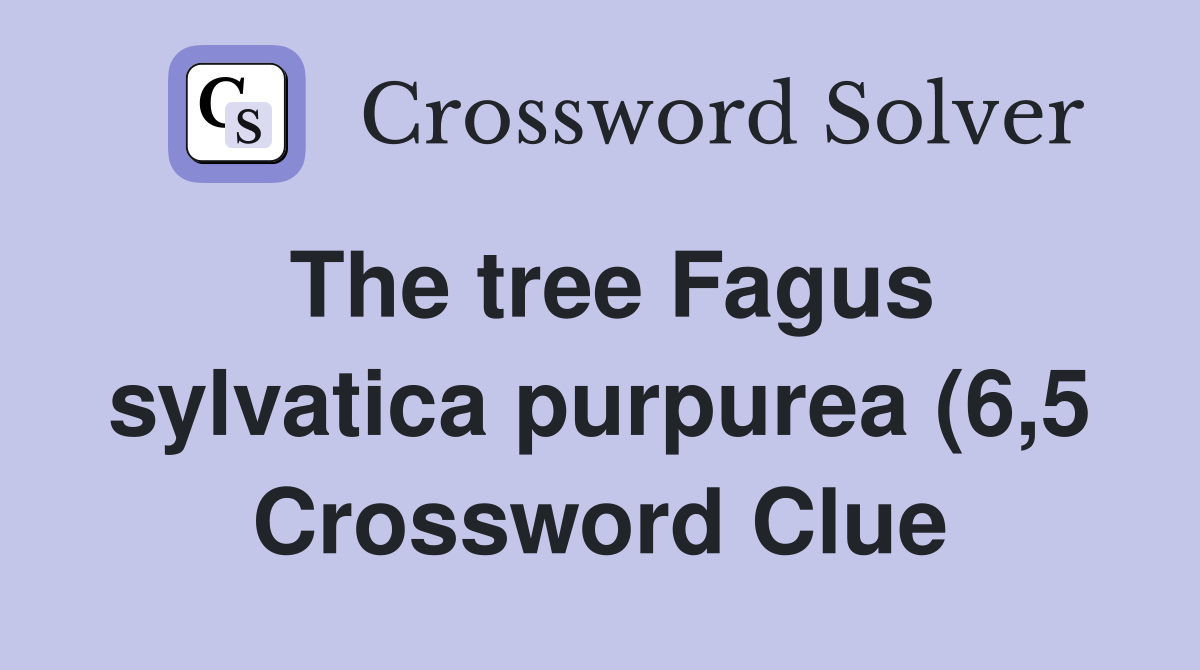 The tree Fagus sylvatica purpurea (6 5) Crossword Clue Answers The tree Fagus sylvatica purpurea (6 5) Crossword Clue Answers