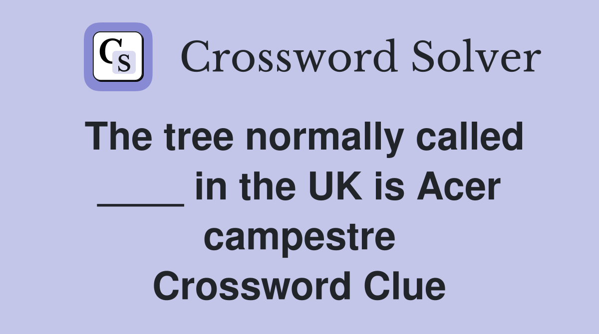 The tree normally called ____ in the UK is Acer campestre Crossword Clue