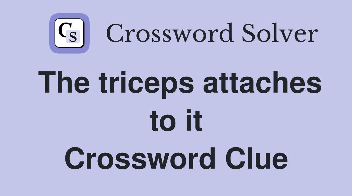 The triceps attaches to it Crossword Clue