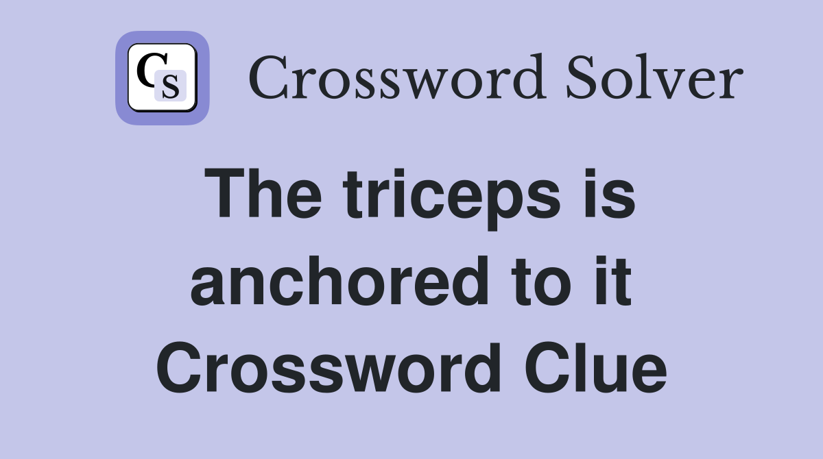 The triceps is anchored to it Crossword Clue