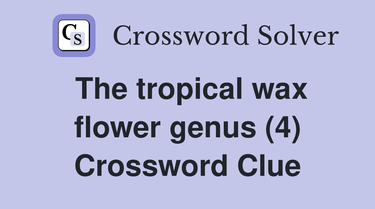 The tropical wax flower genus (4) Crossword Clue