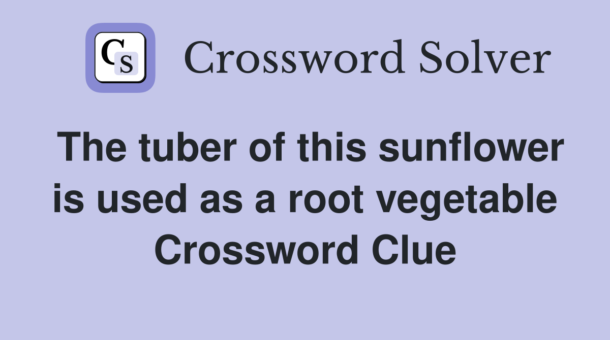 The tuber of this sunflower is used as a root vegetable Crossword Clue