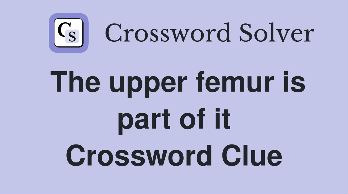 The upper femur is part of it Crossword Clue