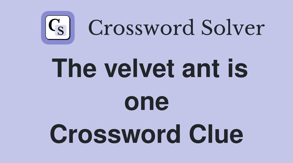 The velvet ant is one Crossword Clue