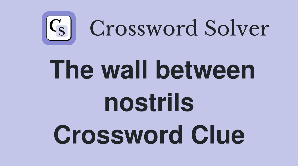 The wall between nostrils Crossword Clue