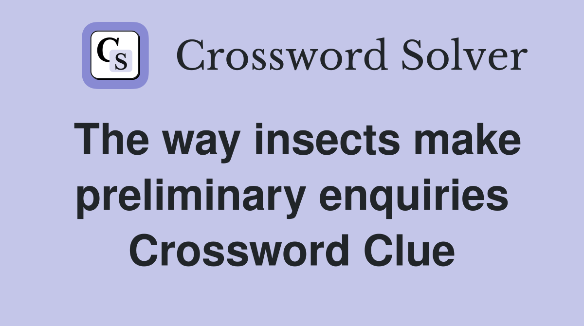 The way insects make preliminary enquiries Crossword Clue