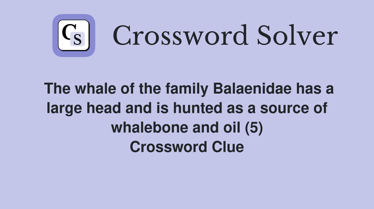 The whale of the family Balaenidae has a large head and is hunted as a source of whalebone and oil (5) Crossword Clue