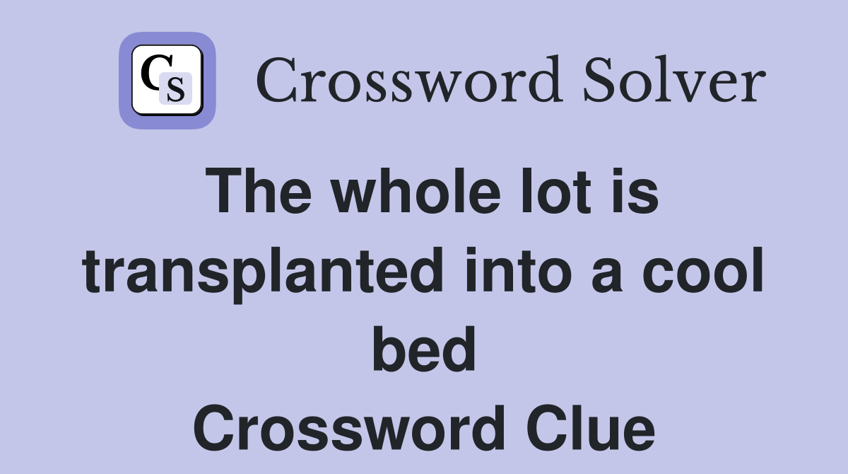 The whole lot is transplanted into a cool bed Crossword Clue