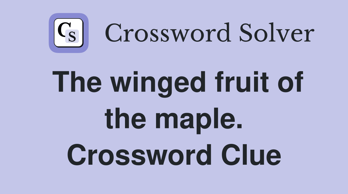 The winged fruit of the maple. Crossword Clue