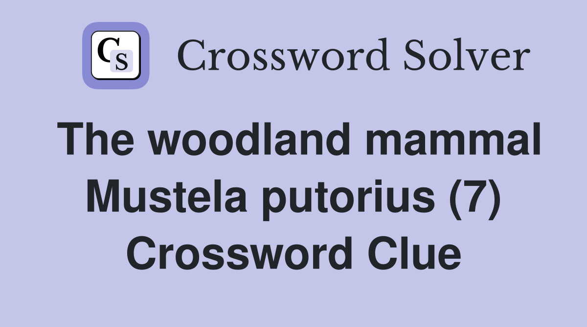 The woodland mammal Mustela putorius (7) Crossword Clue