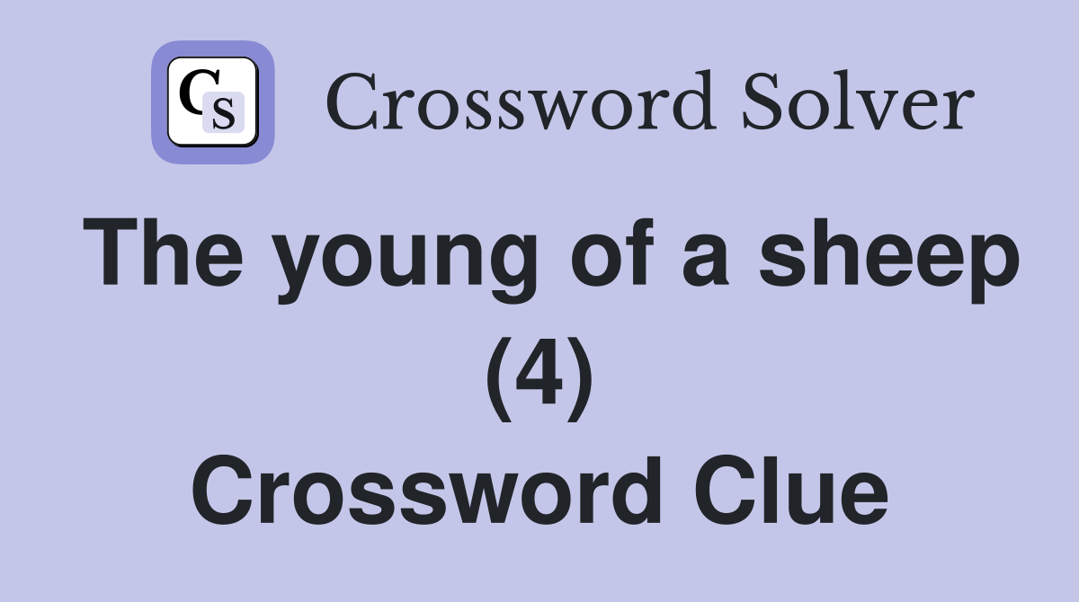 The young of a sheep (4) Crossword Clue