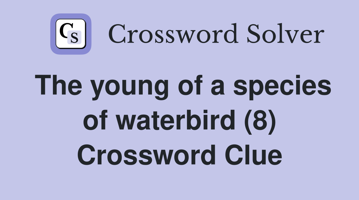 The young of a species of waterbird (8) Crossword Clue