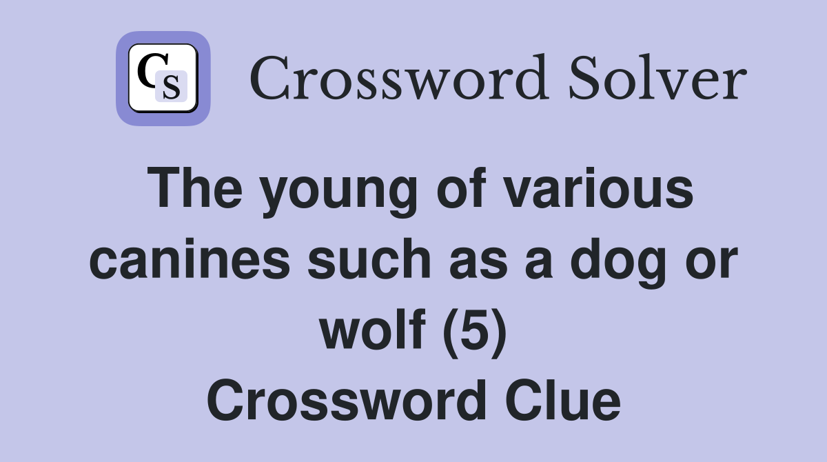 The young of various canines such as a dog or wolf (5) Crossword Clue