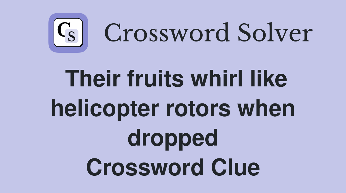 Their fruits whirl like helicopter rotors when dropped Crossword Clue