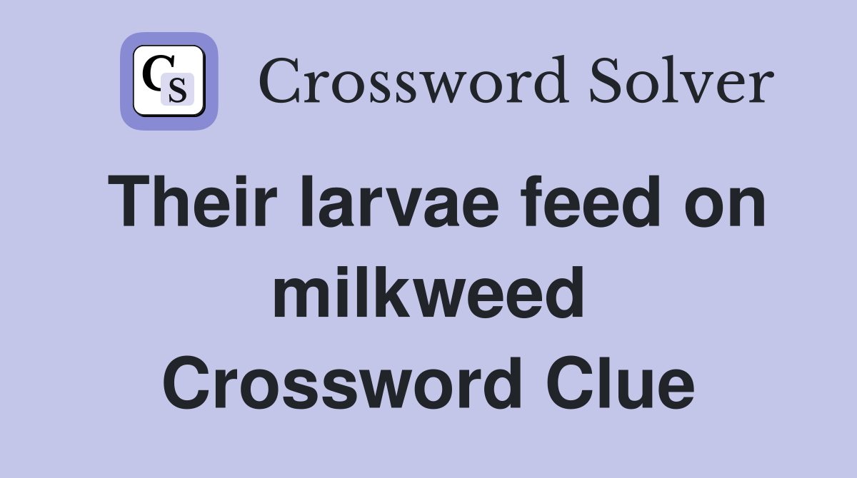 Their larvae feed on milkweed Crossword Clue