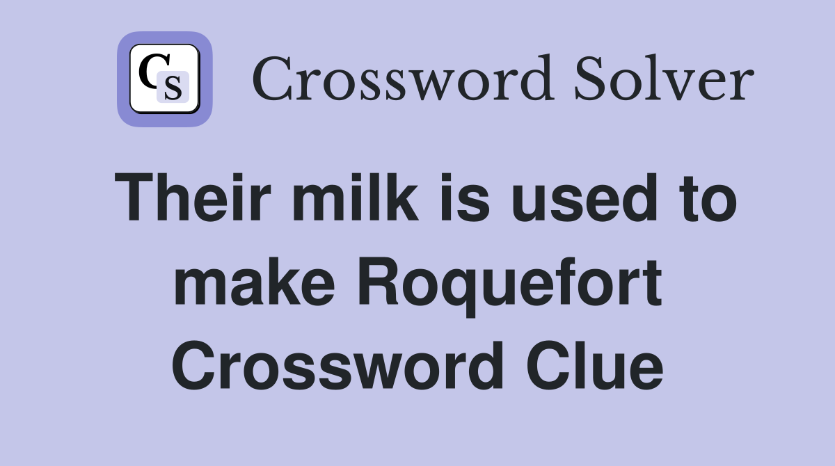 Their milk is used to make Roquefort Crossword Clue