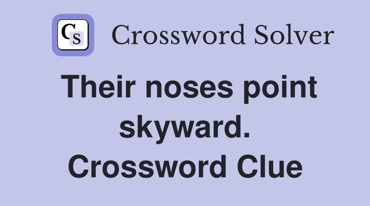 Their noses point skyward. Crossword Clue