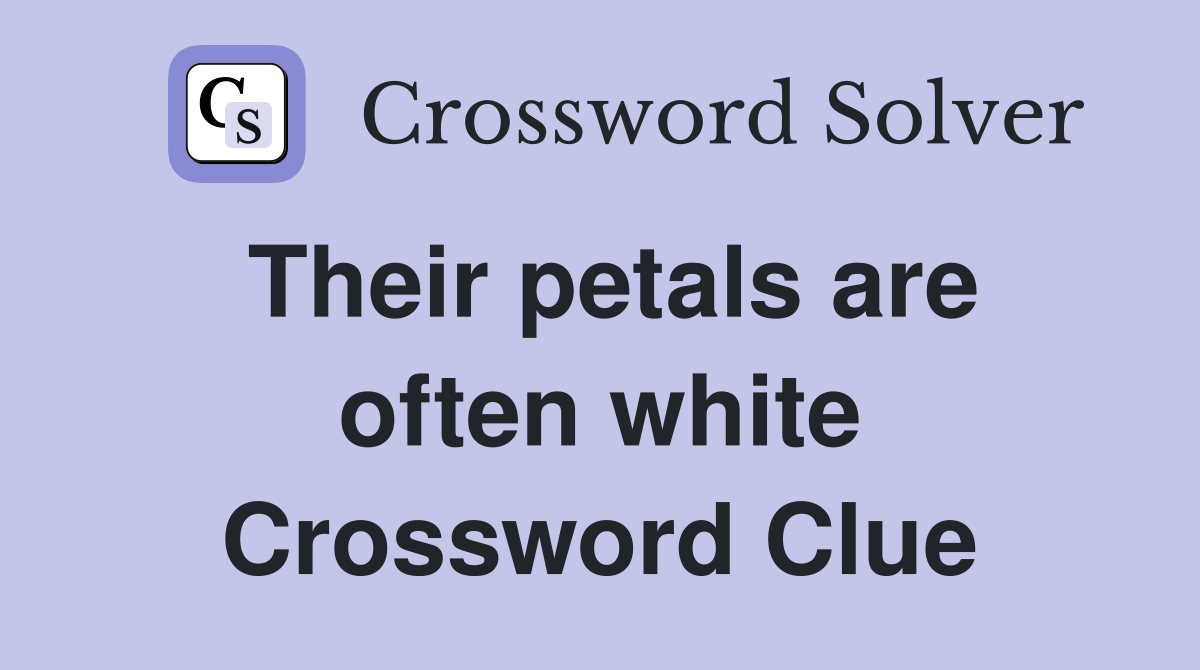 Their petals are often white Crossword Clue