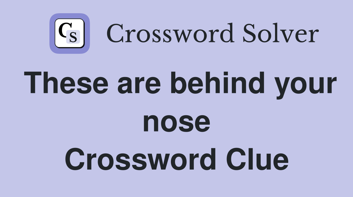 These are behind your nose Crossword Clue