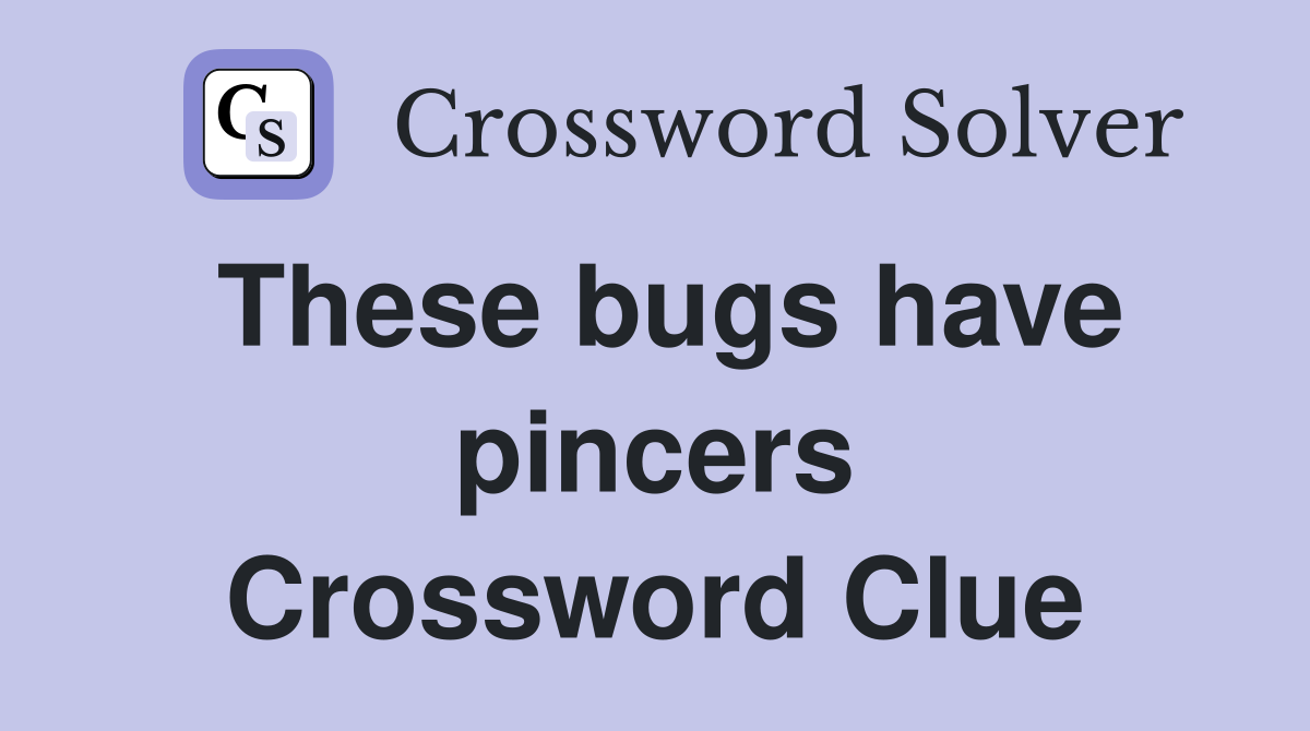 These bugs have pincers Crossword Clue