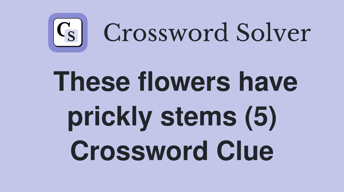 These flowers have prickly stems (5) Crossword Clue