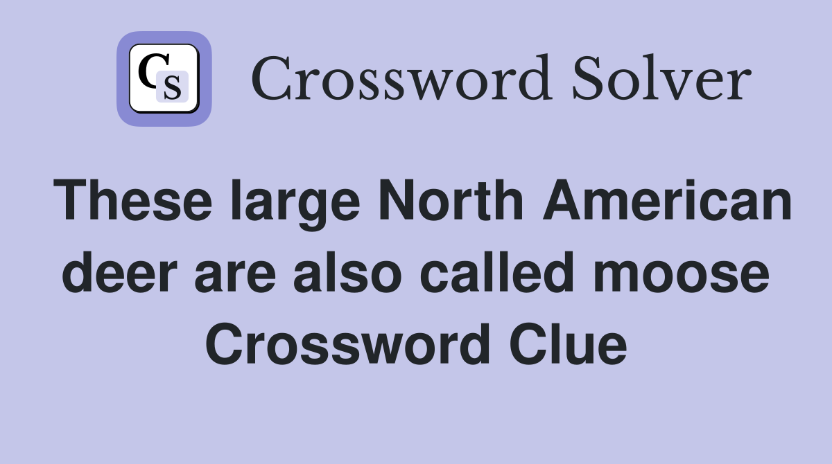 These large North American deer are also called moose Crossword Clue